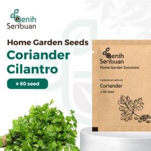 Benih Herb Coriander Daun Ketumbar Tanaman Heirloom