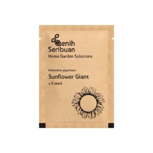 Bibit Bunga Sunflower Giant Tanaman Heirloom