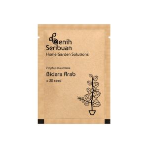 Benih Tanaman Bidara Arab Unggul Premium