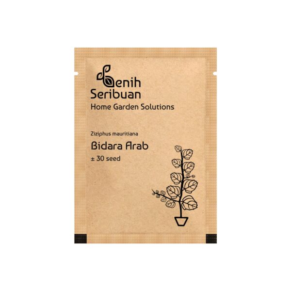 Benih Tanaman Bidara Arab Unggul Premium