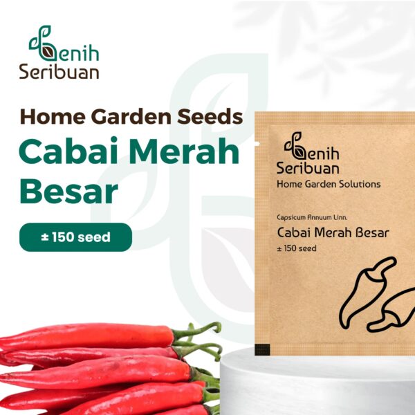 Benih Cabe Merah Besar Tanaman Unggul