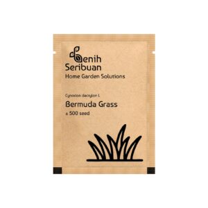 Benih Rumput Jepang Bermuda Grass F1 Premium