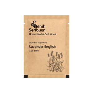 Benih Bunga Lavender English Heirloom Premium