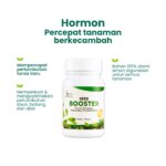 Paket Benih Sayuran Bernutrisi : Paket 25 Sayuran Pemula + Pupuk Organik Cair Sayuran + Seed Booster