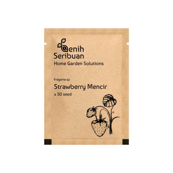 Benih Buah Strawberry Mencir Cocok Dataran Rendah Unggul Premium