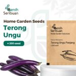 Benih Terong Ungu Panjang F1