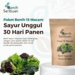 Paket Lengkap 15 Macam Benih Sayuran Varian Tanaman Panen 30 Hari Benih Sayur Daun Seribuan