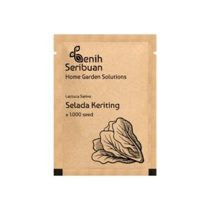 Benih Selada Hijau