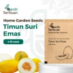 Benih Buah Timun Suri Emas Unggul Premium