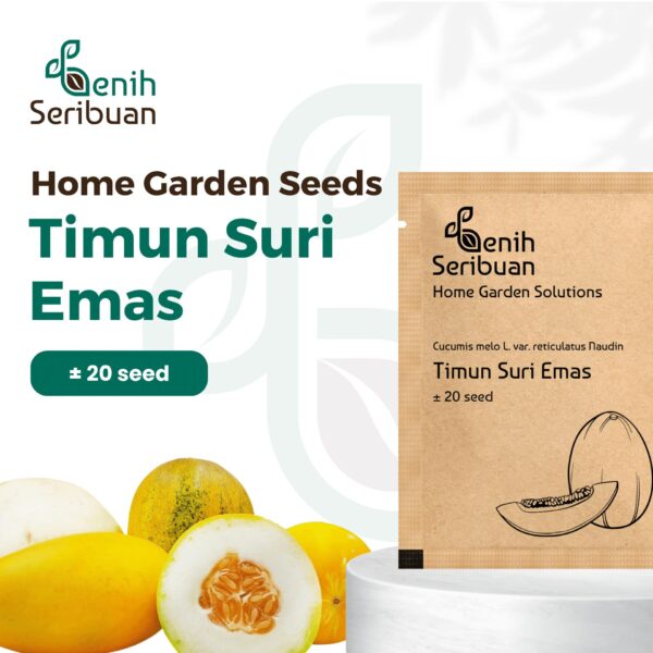 Benih Buah Timun Suri Emas Unggul Premium