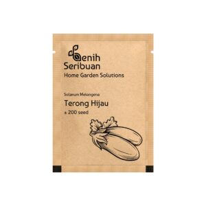 Benih Terong Hijau Panjang F1