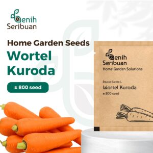 Benih Wortel Kuroda