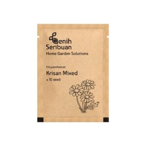 Benih Bunga Krisan Mixed Unggul Premium