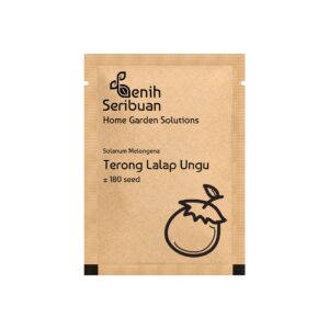 Benih Terong Lalap Ungu Bulat