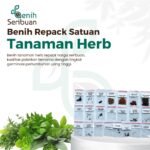 Benih Sayur Sayuran Herbal Tanaman Paket Lengkap Unggul