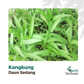Paket 5 Macam Benih Sayuran Daun 30 Hari Panen Seribuan Bayam Kangkung Sawi Pakcoy Selada Benih Tanaman Sayur