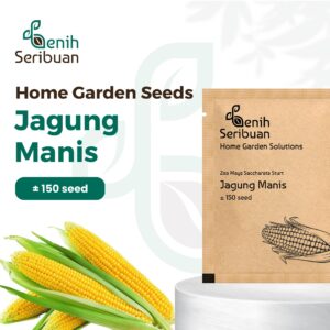 Benih Jagung Manis