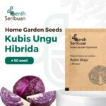 Benih Kol Kubis Ungu F1