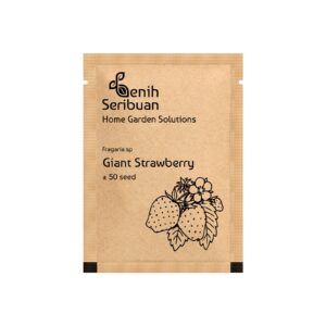 Benih Buah Strawberry Jumbo Premium