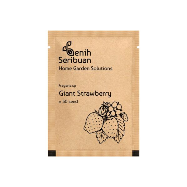 Benih Buah Strawberry Jumbo Premium