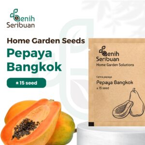 Benih Buah Pepaya Bangkok Jumbo F1 Hibrida Premium