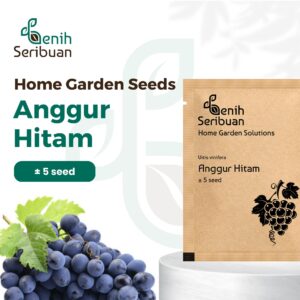 Benih Buah Anggur Hitam Heirloom Premium