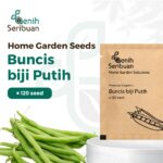 Benih Buncis Putih