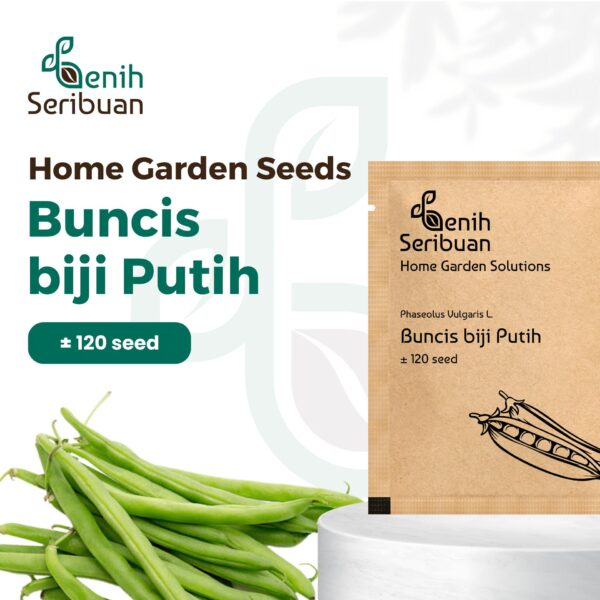 Benih Buncis Putih  1 Benih Buncis Putih