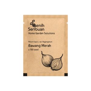 Benih Bawang Merah