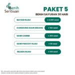 Paket 5 Macam Benih Sayuran Daun 30 Hari Panen Seribuan Bayam Kangkung Sawi Pakcoy Selada Benih Tanaman Sayur