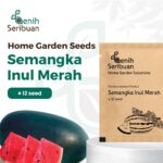 Benih Buah Semangka Inul Merah Jumbo F1 Hibrida Premium