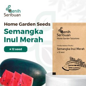 Benih Buah Semangka Inul Merah Jumbo F1 Hibrida Premium