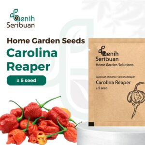 Benih Cabe Carolina Red Reaper Merah Cabai Pedas Heirloom Premium