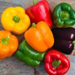 Benih Paprika Mixed F1