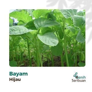 Paket 5 Macam Benih Sayuran Daun 30 Hari Panen Seribuan Bayam Kangkung Sawi Pakcoy Selada Benih Tanaman Sayur