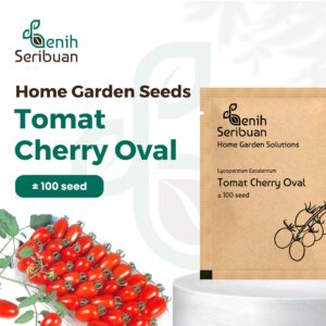 Benih Tomat Cherry Merah Lonjong F1