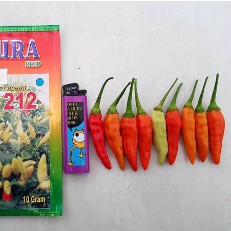 Benih Cabe Rawit ORI