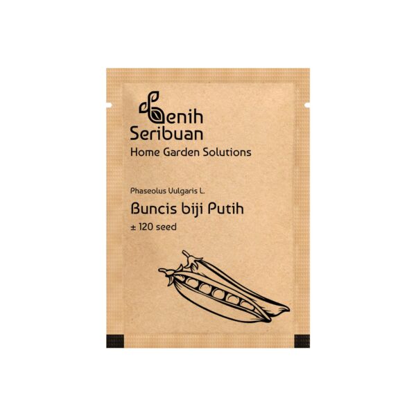 Benih Buncis Putih  2 Benih Buncis Putih