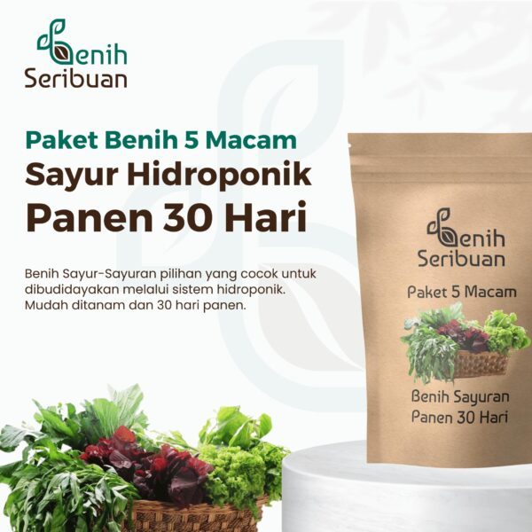 Paket 5 Macam Benih Sayuran Daun 30 Hari Panen Seribuan Bayam Kangkung Sawi Pakcoy Selada Benih Tanaman Sayur