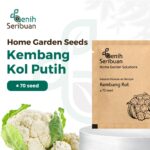 Benih Kembang Kol F1