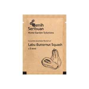 Benih Buah Labu Madu Butternut Squash F1 Hibrida Premium