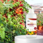 Pupuk Pelebat Buah Fruit Boost Pro 500mL Nutrisi Percepatan Pembuahan Organik Cair