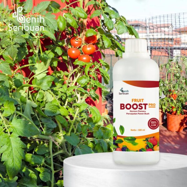 Pupuk Pelebat Buah Fruit Boost Pro 500mL Nutrisi Percepatan Pembuahan Organik Cair