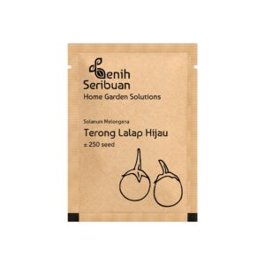 Benih Terong Lalap Hijau