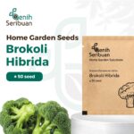 Benih Brokoli Hijau F1