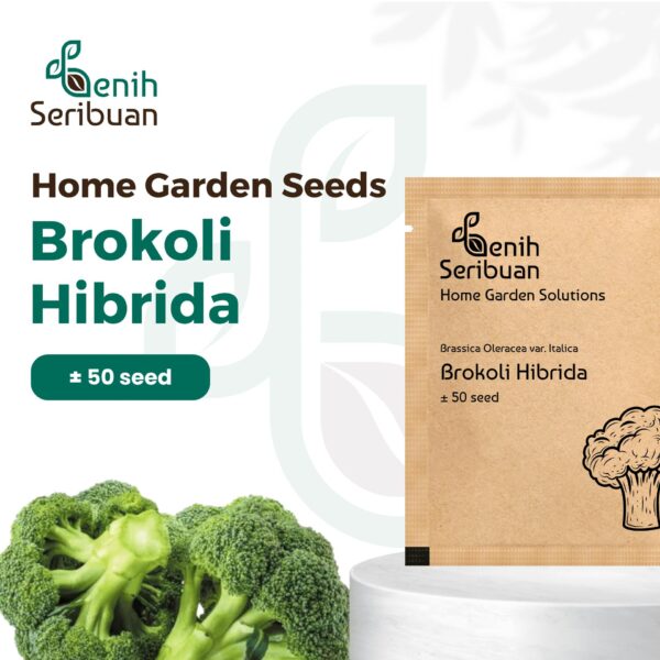 Benih Brokoli Hijau F1 1 Benih Brokoli Hijau F1
