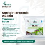 AB Mix Nutrisi Hidroponik untuk 100 Liter Air