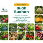 Benih Buah Buahan Hibrida Anggur, Strawberry DLL Tanaman Paket Lengkap Unggul