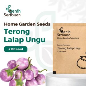 Benih Terong Lalap Ungu Bulat