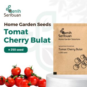 Benih Tomat Cherry Merah Bulat